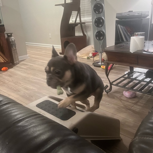 Meet your Posher, Angela - Picture 6 of 9